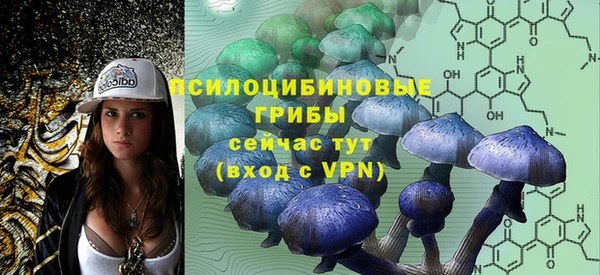 гашик Богданович