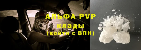 гашик Богданович