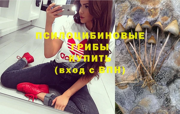 spice Белокуриха