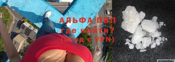 гашик Богданович
