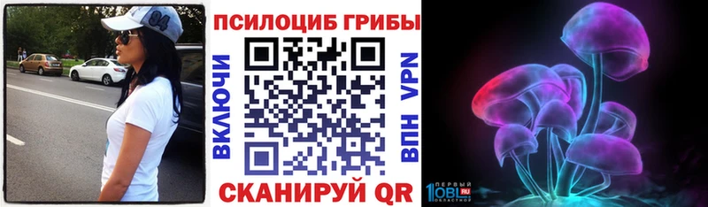 купить   Белореченск  Галлюциногенные грибы мицелий 